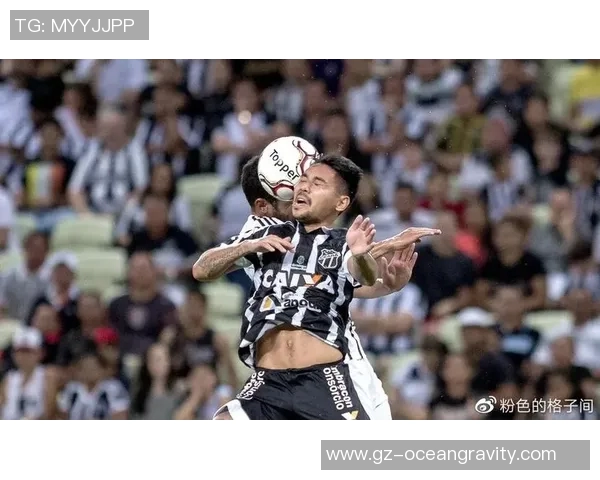 博塔弗戈vs塞阿拉伤停